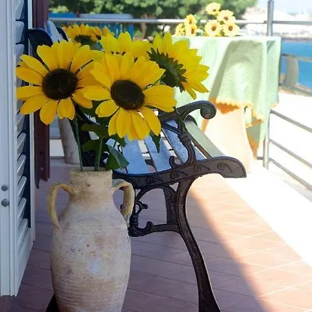 Casa Corallo Шакка