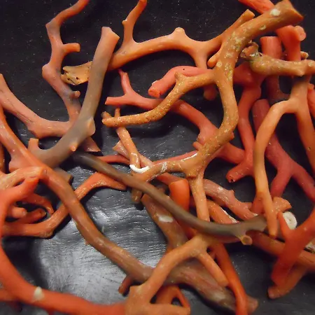 Casa Corallo Дом отдыха Шакка